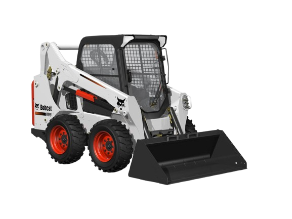 bobcat